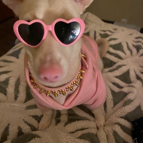 Meet your Posher, Janice - Picture 2 of 4